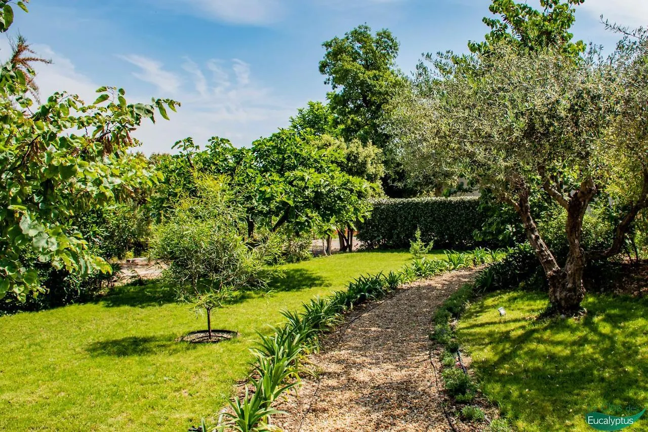 Apartment Le Clos Des Eucalyptus Le Plan-de-la-Tour France