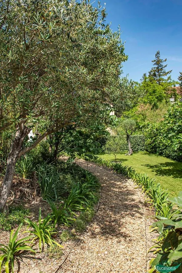 Apartment Le Clos Des Eucalyptus Le Plan-de-la-Tour France