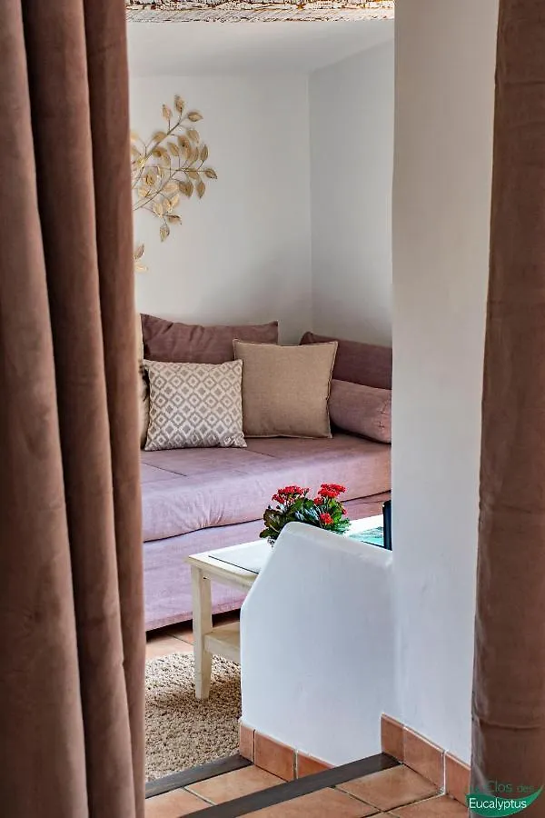 Le Clos Des Eucalyptus Le Plan-de-la-Tour
