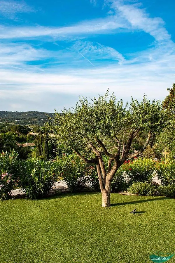 Apartment Le Clos Des Eucalyptus Le Plan-de-la-Tour