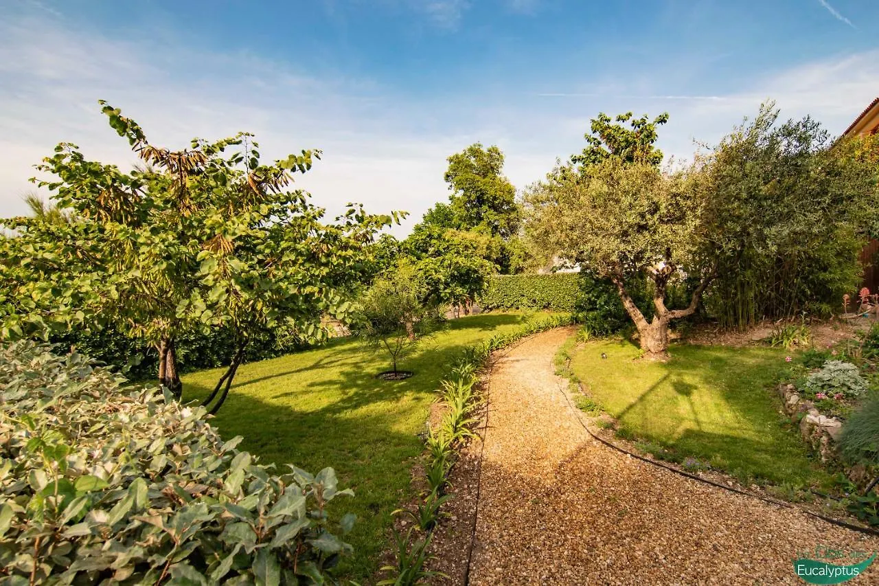 Le Clos Des Eucalyptus Le Plan-de-la-Tour